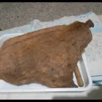 خیگ آماده روغن