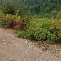 زمین-باغی-یا-ویو-عالی