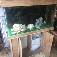 اکاواریوم ماهی
