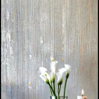 میکروسمنت کف،نما،دیوار(اجرای تخصصی)|خدمات پیشه و مهارت|تهران, پردیسان|دیوار