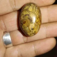 نگین سنگ سلطانی ملکی مصور