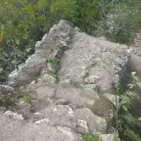 گوشواره گمشده