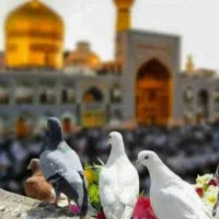 ثبت نام مشهد ۱۱ مهر ماه