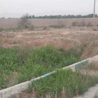 اجاره چهار دیواری