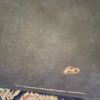 مبل ۷نفره سورمه ای خردلی|مبلمان خانگی و میز عسلی|کرج, کوی زنبق|دیوار