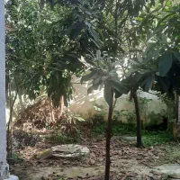 فروش خانه ویلایی رشت|فروش خانه و ویلا|رشت, شهرک شهید مفتح|دیوار