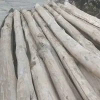 خرید انواع چوب درخت وریشه مو|خدمات باغبانی و درختکاری|کشاورز, |دیوار