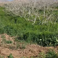 شستشو ومحوطه سازی منازل ویلایی