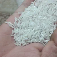 برنج هاشمی درجه یک