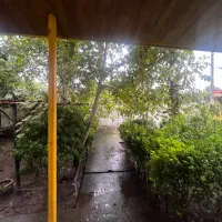 رهن ویلا پلاک ۲دریا در نشتارود|اجارهٔ خانه و ویلا|نشتارود, |دیوار