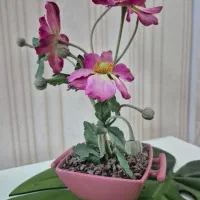 تعدادی دیوار کوب|مجسمه، تندیس، ماکت|کرج, فاز ۴ مهرشهر|دیوار