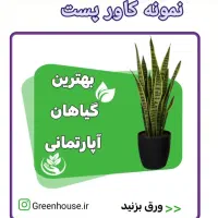 طراحی کاور پست اینستاگرام و تامنیل یوتیوب و بنر|خدمات رایانهای و موبایل|تهران, بهارستان|دیوار