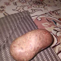 شهاب سنگ خاص وبسیار کمیاب