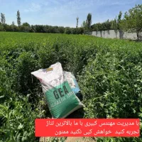 محصولات اصالت دار خارجی