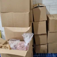 بادام زمینی آستانه اشرفیه