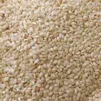 برنج چمپا و گرده( شهری)|خوردنی و آشامیدنی|یاسوج, |دیوار