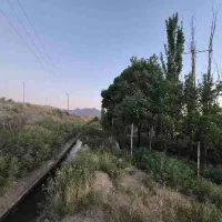 زمین باغ و باغ فروشی در روستای دیزیجان