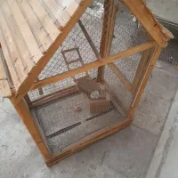 قفس پرنده