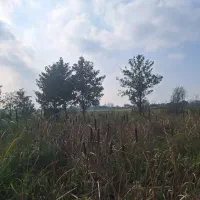 زمین 500متر مسکونی دار|فروش زمین و ملک کلنگی|رشت, سلیمانداراب|دیوار