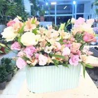 تخفیف ویژه گلدان سینره/سبد گل/رز