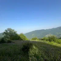 فروش زمین در گیلان