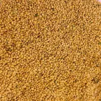 بذر یونجه|گل و گیاه طبیعی|شیراز, ستارخان|دیوار