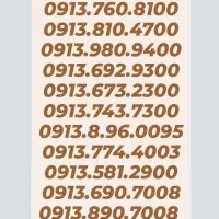 0913.795.9005