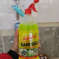 آسپروکس زرد اصل