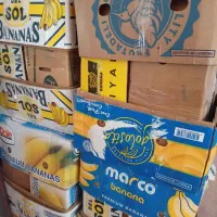 لوازم خانگی در حد