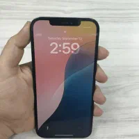 12 pro max