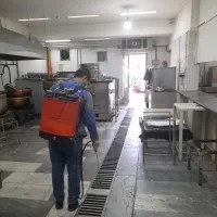 سمپاشی با بهترین سموم سم پاشی