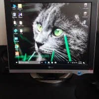 مانیتور ۱۷ اینچ LG