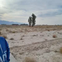 زمین در شهر فیشور