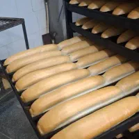 نیروی کار نان فانتزی