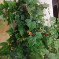 درخت مصنوعی|گل مصنوعی|شوشتر, |دیوار