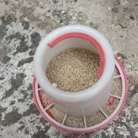 دان بلدرچین