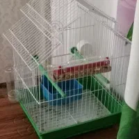 قفس پرنده با دون و وسایل