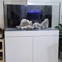 اکواریوم ریملس با شیشه کریستال وین وایت