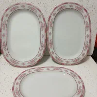 ۶ عدد دیس چینی