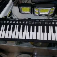 پیانو ژلاتینی تا شو|پیانو، کیبورد، آکاردئون|شیراز, محمدیه|دیوار