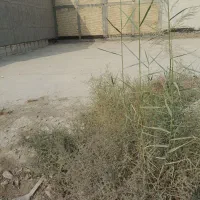 فروش زمین مسکونی نور ۴ متراژ ۲۳۵ و عرض ۱۲