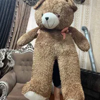 خرس دو متری