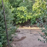 زوج بدون فرزند جهت سرایداری|استخدام سرایداری و نظافت|تهران, خلیج فارس|دیوار