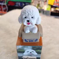 رینگو لاستیک|قطعات یدکی و لوازم جانبی|نهاوند, |دیوار