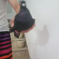 پرنده کم شده رفته مشکی