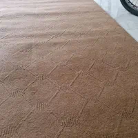 موکت نسکافه ی ۴۰ متر|موکت|اردبیل, |دیوار
