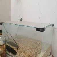 الواریوم ماهی  با پمپ ندل شیشه خم