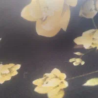 قالی