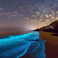 تور قشم*اقساط 10 ماهه*