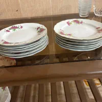 ظروف گل سرخی|ظروف سرو و پذیرایی|دزفول, |دیوار